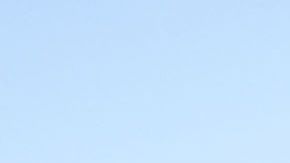 Joven del Lamborghini que mató a hispana recibe sentencia de hasta 9 meses