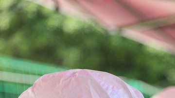 La OMS insiste en encontrar el origen de la COVID-19 con la creación de un nuevo comité de expertos.