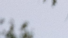 Una familia se dirige a un campamento de migrantes en Texas, el 18 de septiembre.