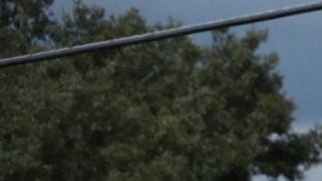 Las autoridades hallaron los restos de Brian Laundrie en T. Mabry Carlton Jr. Memorial Reserve.