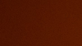 Hasta el momento, el NPS no ha podido estimar cuáles son los daños totales a las secuoyas debido a los incendios que siguen activos.