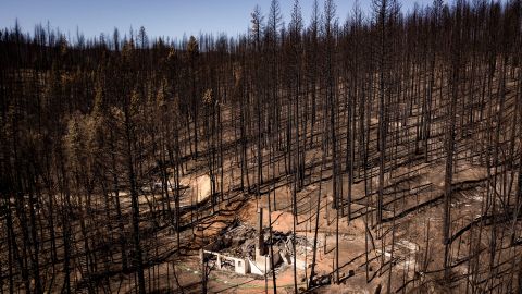 Bomberos de California no prevén que Fawn siga creciendo en los bosques de Shasta.