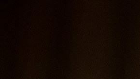 ¿Por qué al senador Alex Padilla le conviene empujar la ciudadanía para indocumentados?