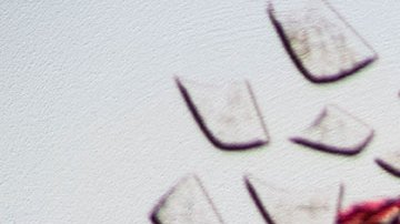 Pandora Papers