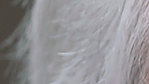 El presidente de Chile, Sebastián Piñera.