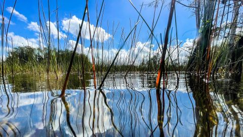 El cambio climático afectará a miles de millones de personas para el 2050.