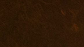 GOLETA, CA - OCTOBER 12: The Alisal Fire burns near power lines on October 12, 2021 near Goleta, California. Pushed by high winds, the Alisal Fire grew to 6,000 acres overnight, shutting down the much-traveled 101 Freeway along the Pacific Coast. (Photo by David McNew/Getty Images)