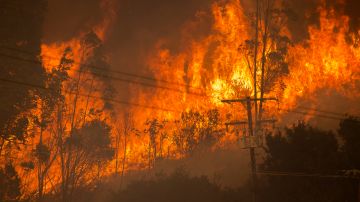 GOLETA, CA - OCTOBER 12: The Alisal Fire burns near power lines on October 12, 2021 near Goleta, California. Pushed by high winds, the Alisal Fire grew to 6,000 acres overnight, shutting down the much-traveled 101 Freeway along the Pacific Coast. (Photo by David McNew/Getty Images)
