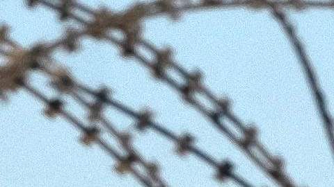 Será el 8 de noviembre: Estados Unidos reabrirá sus fronteras a viajeros vacunados