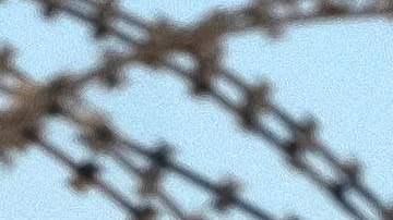 “No somos dos comunidades”: residentes celebran reapertura de la frontera