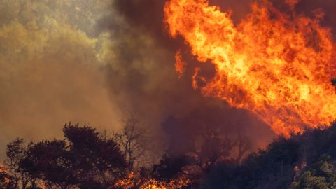 A pesar de su inicio explosivo, el incendio Alisal ha podido ser ampliamente contenido en poco tiempo.