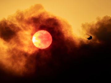 Los investigadores indican que hay muy poca información acerca del comportamiento de la vida silvestre durante un incendio forestal.