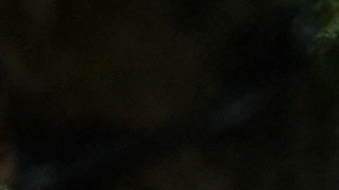 Las autoridades en la India indicaron que la situación meteorológica está mejorando en la región luego de las inundaciones por las fuertes lluvias.