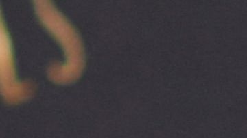 Salma Hayek en la premiere de "Eternals"