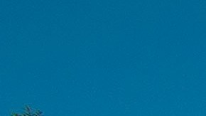 Possible Remains Found In Search For Brian Laundrie