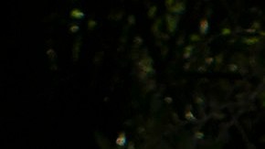 Diligencias policiales por el caso Gabby Petito.