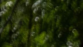 Vista de los terrenos de Christian Aid Ministries en Titanyen, Haití.