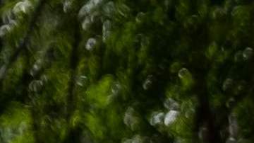 Vista de los terrenos de Christian Aid Ministries en Titanyen, Haití.