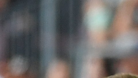 Decenas de fanáticos agredieron el vehículo de Koeman a la salida del Camp Nou.