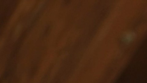La exregatista Ellen MacArthur indica en un informe que se necesita un "gran rediseño de alimentos" para alcanzar una producción sostenible en la agricultura y hacerle frente al cambio climático.