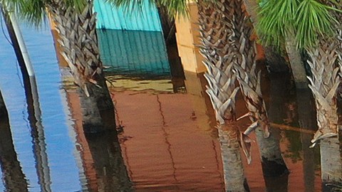 Las inundaciones en áreas de Alabama fueron repentinas y pusieron en riesgo a muchos residentes.