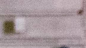 Un total de 92 personas fueron arrestadas durante los partidos de la Eurocopa jugados en Londres.