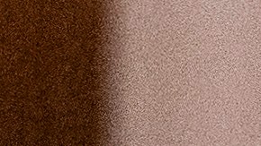 McCain  es una empresaria, filántropa y humanitaria