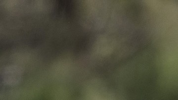 Con el programa 'Permanecer en México' se obliga a peticionarios de asilo a esperar en ese país una cita en cortes de EE.UU.