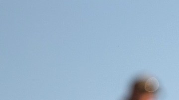 Organizaciones civiles se suman a reclamos de la ONU sobre el trato a los haitianos en EE.UU.