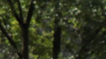 La Marcha de las Mujeres en Washington D.C. en defensa del derecho al aborto.