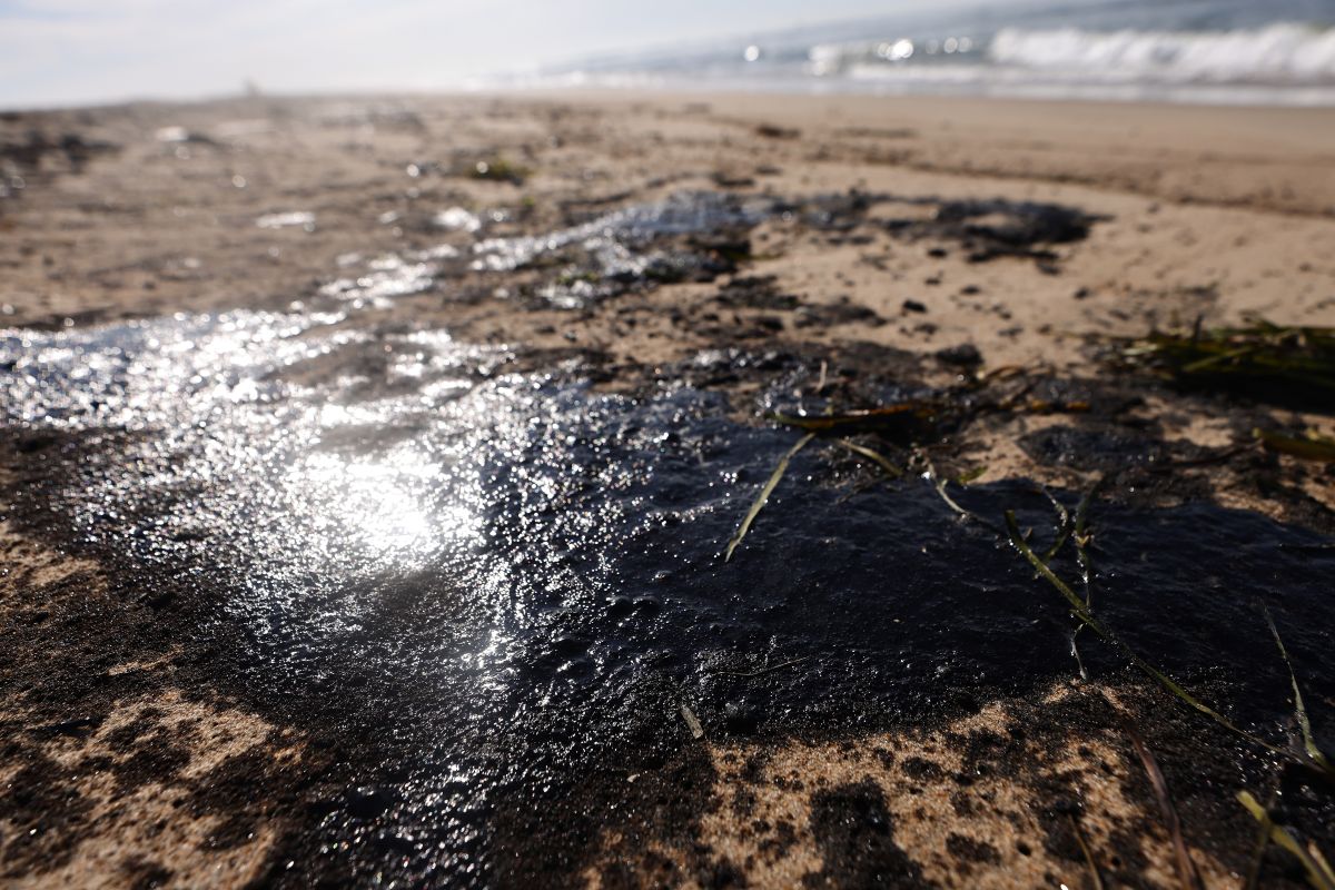 They demand an independent investigation into the Orange County oil spill