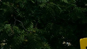 Activistas han presionado al Congreso para aprobar la protección a inmigrantes indocumentados.