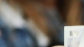 Los fanáticos han usado vestimentas típicas del medio oriente.