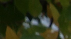 A pesar de que se prevé que el mal clima dure hasta mediados de la semana, hay otras dos tormentas en vía a la costa Oeste del país.