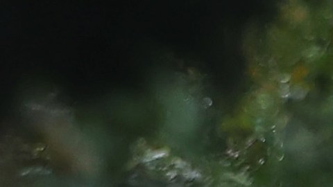 Una tormenta en la costa Este está afectando a Nueva Inglaterra con lluvias y fuertes vientos esta semana.