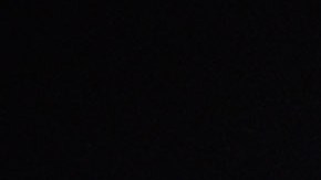 Arnold Schwarzenegger