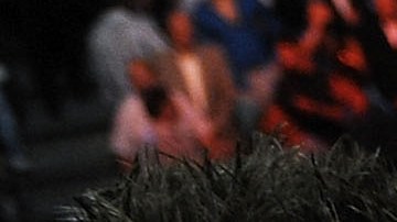 Julio César Chávez Jr.