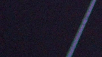 Invasión de millones de arañas gigantes Joro causa alerta y terror en Georgia