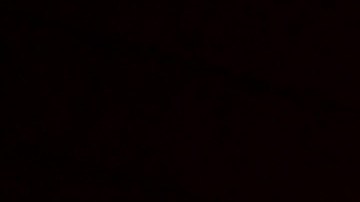 Rescatan a perrito atrapado bajo piedras tras explosión de toma clandestina en Puebla