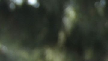 FRESNO, CA - MARCH 17: Crime scene tape stretches across the front of the house where accused killer Marcus Wesson lived March 17, 2004 in Fresno, California. Wesson is accused of shooting nine family members at his home last week. He could face the death penalty if convicted. (Photo by Roger Hornback/Getty Images)