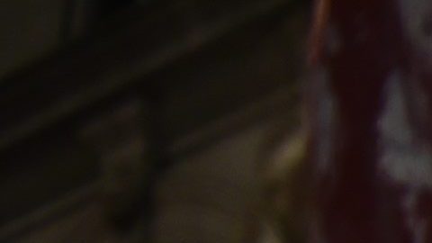 Viene Halloween y el Día de Muertos ¿Ya tienes tu máscara para asustar?