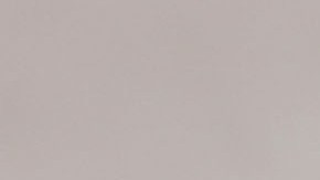 Denuncian supuestos experimentos con perros beagle, como los que aparecen en la foto.