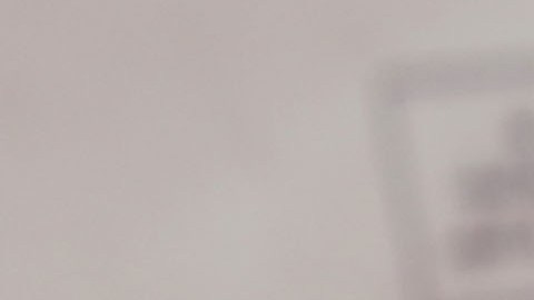 Denuncian supuestos experimentos con perros beagle, como los que aparecen en la foto.