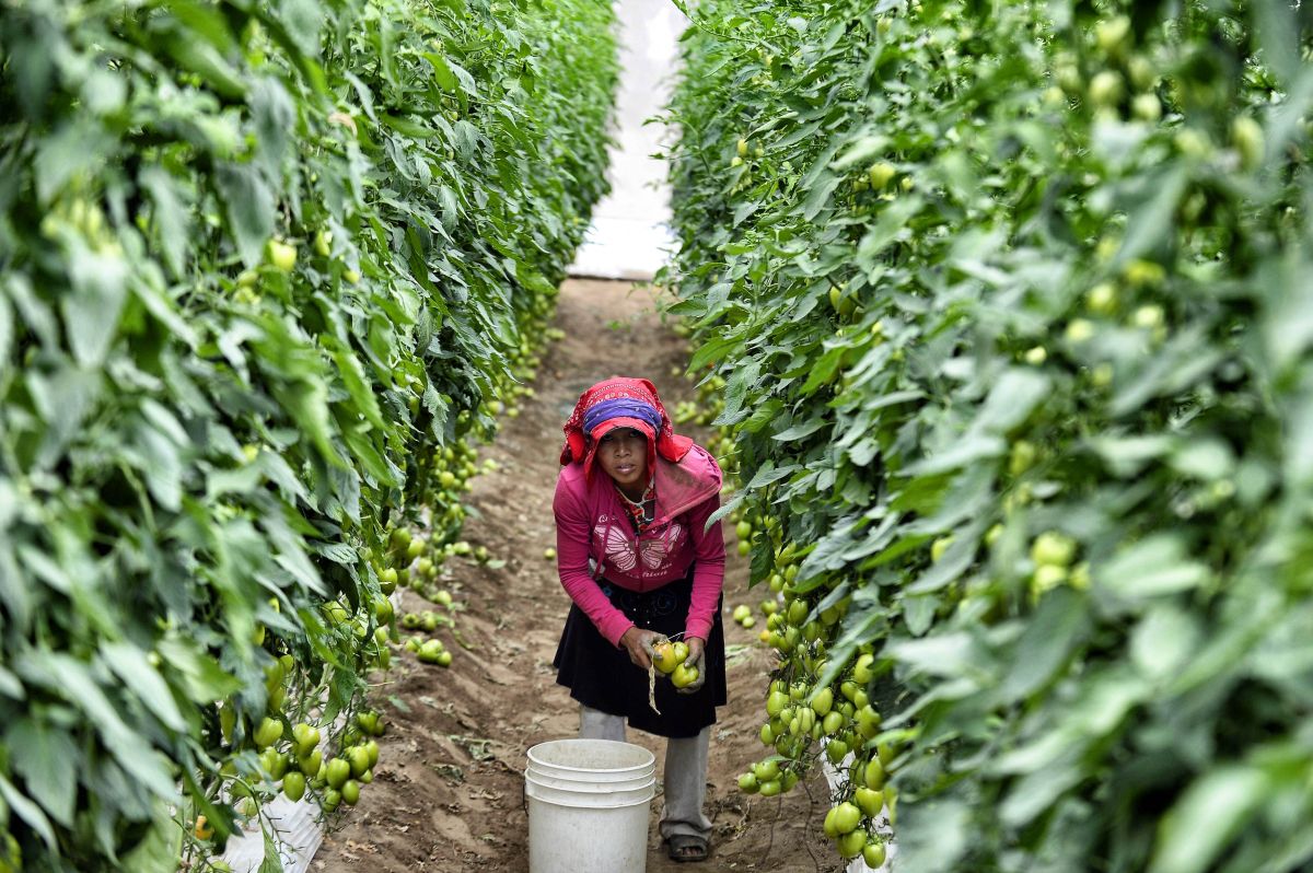 Pandemic Put Half A Million Latinas Out Of Work Earning Just Over Half
