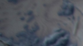 Cierran oleoducto que provocó derrame de petróleo frente a costas del condado de Orange