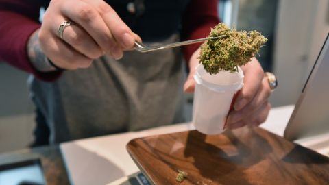 Granjas ilegales de cannabis obligan a declarar emergencia en Oregon