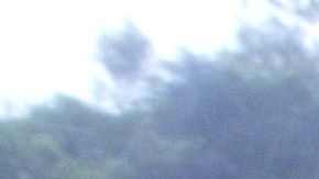 SHERMAN OAKS, CA - JANUARY 10: A Los Angeles City firefighter examines a mudslide off Camino De La Solano drive in the Hills off Sherman Oaks, CA on January 10, 2005. No homes were threated here, but at least nine deaths have been attributed in Souther California due to rain related accidents. (Photo by J. Emilio Flores/Getty Images)