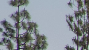 Distrito Escolar de Long Beach despidió al oficial que disparó a mujer hispana en la cabeza