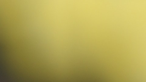 Beasley confesó que ve los partidos de la Liga MX.