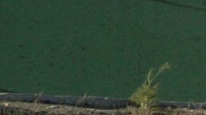 SAN YSIDRO, CA - OCTOBER 26: Members of the National Guard drive tractors to an area where a portion of Border wall will be built October 26, 2006 in San Ysidro, California. U.S. President Bush signed a bill that will add 700 miles of new fencing along the U.S.-Mexico Border. (Photo by Sandy Huffaker/Getty Images)